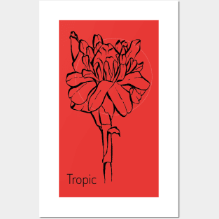 Tropical flower on red circle Posters and Art